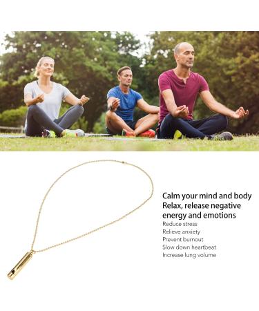 Anxiety Necklace Mindful Breathing Necklace Breathing Exercise Device for Meditation Relaxation Calming Down Slowing Breath Anxiety Relief Necklace for Anxiety Stress Panic Attack Relief(1#) - Buy Online on GoSupps.com