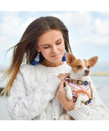 Shop Simplethings Waterproof AirTag Dog Collar - Anti-Loss Silicone Holder for Cats & Dogs | Compatible with Apple AirTag GPS - Black & Midnight Blue (S-12mm) - Buy Online on GoSupps.com