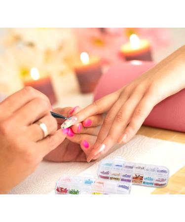 24 Colors Butterfly Nail Glitter for Face Nails Eyes Lips & Hair | Perfect for Festivals Parties & Christmas - Buy Online on GoSupps.com