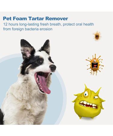 2 Pcs Dog Teeth Cleaning Foam - Natural Plaques Off & Tartar Remover for Dogs & Cats | Plaques & Tartar Remover for Pet Oral Care Supports Healthy Mouth for Dogs Promote Dental Health. Dobooo 2 Pcs One Size - Buy Online on GoSupps.com
