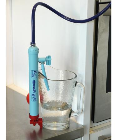 LifeStraw Family 1.0 Portable Gravity Water Purifier for Emergency Preparedness and Camping - Buy Online on GoSupps.com