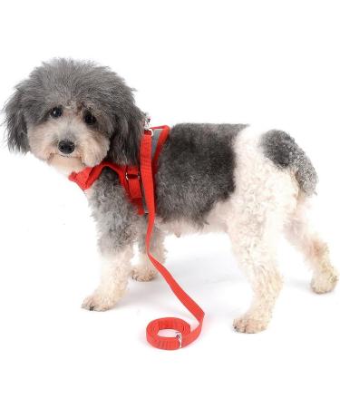Zunea No Pull Dog Harness for Small Dog Reflective Breathable Soft Mesh Padded Step-in Vest Harness Leash Set Puppy Girl Dog Cat Lead for Daily Walking Running Training - (Red S) S (Pack of 1) red - Buy Online on GoSupps.com