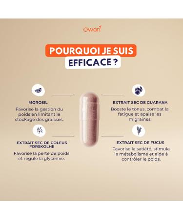 OWARI Bruleur de Graisse - Br leurs de Graisse V gans pour Maigrir Rapidement Efficacement - Compl ment Alimentaire pour Soutenir la Perte de Poids Rapide et Efficace - 60 G lules V g tales - Buy Online on GoSupps.com