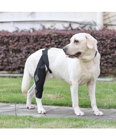 Dog Leg Immobilizer | Dog Hip Joint Care Support Brace Leg Braces for Dogs Leg Braces for Support Pet Knee Brace Canine Leg Brace Pet Leg Brace - Buy Online on GoSupps.com