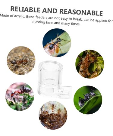 Minkissy 4-Piece Ant Feeding Station Set - Clear Ant Farm for Colony Observation - 2.5x2.1CM Ant Habitat - Buy Online on GoSupps.com