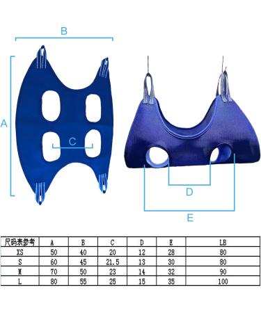 Lollanda Effective Control Dog Hammock & Cat Care Slope Set - 11 Pet Tools Included (Blue) | International Shipping - Buy Online on GoSupps.com