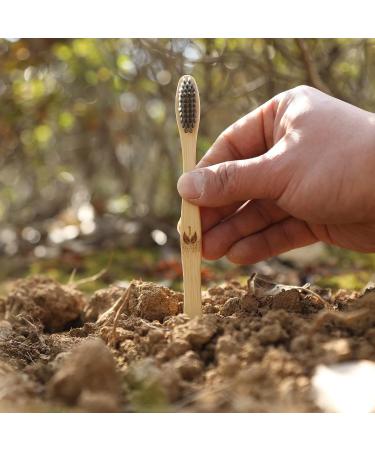 Isshah Biodegradable Eco-Friendly Natural Bamboo Charcoal Toothbrushes - 12 Pack - Buy Online on GoSupps.com