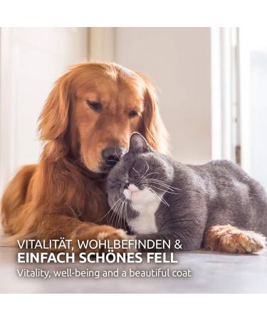 Aniforte Salmon Oil Capsules for Dogs & Cats - 500 Omega-3 Fish Oil & Vitamins for Healthy Metabolism Strong Bones & Shiny Fur - Buy Online on GoSupps.com