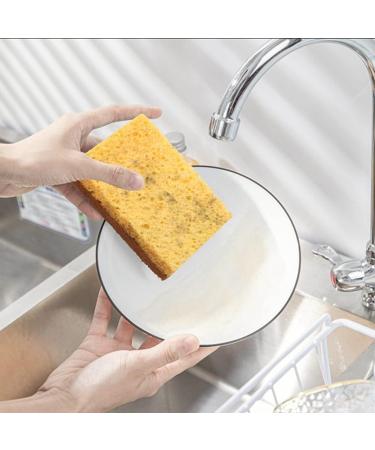 Clisted 64Pcs Biodegradable and Compostable Sponges Scouring Pad Palm Fiber Eco-Friendly Sponge for Kitchen Dishes Cleaning - Buy Online on GoSupps.com