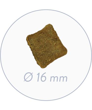Bosch HPC Soft Senior Goat & Potato - Grain-Free Half-Moist Dog Food for Older Dogs | 12.5 kg Pack | Single Protein All Breeds - Buy Online on GoSupps.com