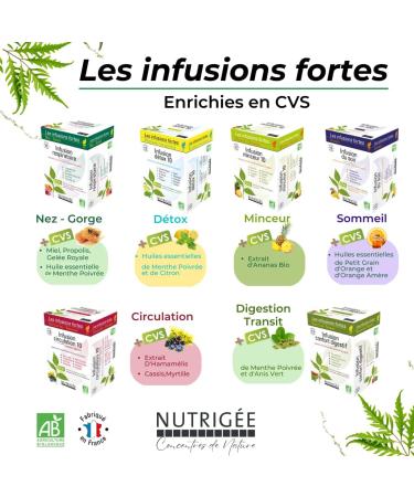 NUTRIG E - Organic Respiratory Infusion - Soothes - Respiratory Tract & Natural Defenses - Thyme Eucalyptus Pine Buds Ivy Echinacea - Rich in Soluble Plant Concentrates - 30 Sachets - Buy Online on GoSupps.com