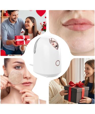 Vapeur pour le visage humidificateur facial portable | Humidificateur de visage brume chaude nettoyage en profondeur de la peau hydratation quotidienne pour une absorption maximale - Buy Online on GoSupps.com