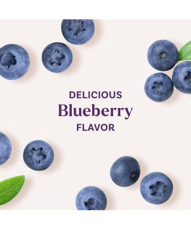 Natrol Melatonin 10mg Sleep Aid Supplement 50 Count MelatoninMax Gummies Blueberry Flavor 10 mg Melatonin Gummies for Occasional Sleeplessness 50 Day Supply Blueberry 50 Count (Pack of 1) - Buy Online on GoSupps.com