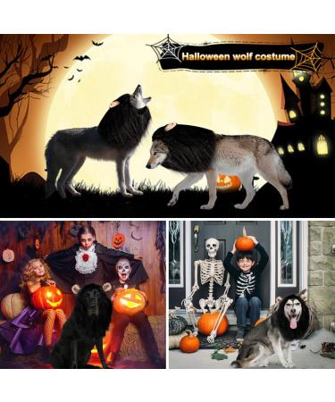 Vivifying Lion Mane Dog Costume - Adjustable Halloween Wig with Ears for Medium & Large Dogs (Black) - Buy Online on GoSupps.com