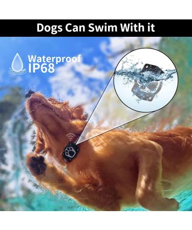 Tepimato AirTag Dog Collar Holder IP68 Waterproof Air Tag Collar Hard TPU Full Protection Compatible with Apple Airtag Air Tag. Holder for Dog Cat Collar Pet Accessories(2 Pcs Black) 2 pack Black - Buy Online on GoSupps.com