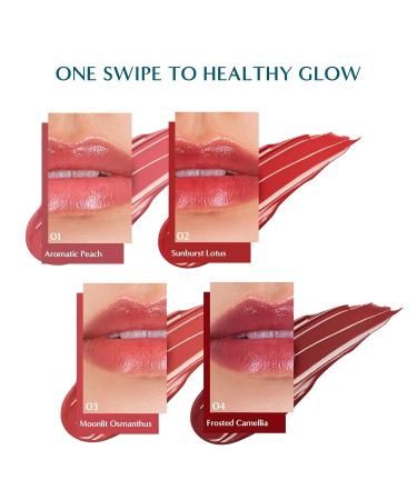 FLORASIS Dewy Touch Tinted Lip Balm Lip Mask Lip Balms for Dry Lips (04 Frosted Camellia 1 Count) 04 Frosted Camellia 1 Count (Pack of 1) - Buy Online on GoSupps.com