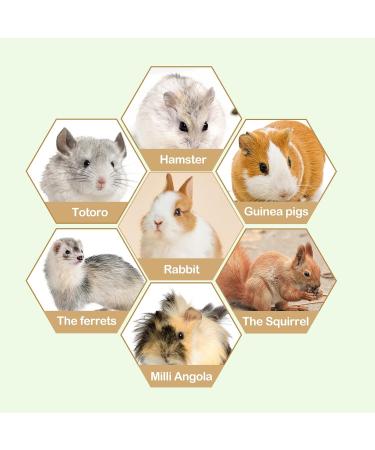 VERTUPET Guinea Pig Hideaway Bed House - Small Animal Hideout Toy for Rabbits, Chinchillas, Hamsters - Sturdy Cage Accessory - Green (Medium) - Buy Online on GoSupps.com