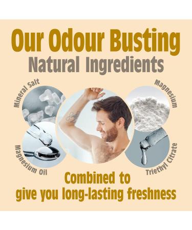 SALT OF THE EARTH Amber & Sandalwood Spray 100 ML - Buy Online on GoSupps.com