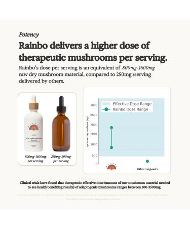 Rainbo - Lion's Mane Mushroom Tincture - Alcohol Free - Dual Extract Mushroom Supplement - Brain Support Focus Memory Liquid Lion's Mane Supplement Vegan Non-GMO 3.4 fl oz. - Buy Online on GoSupps.com
