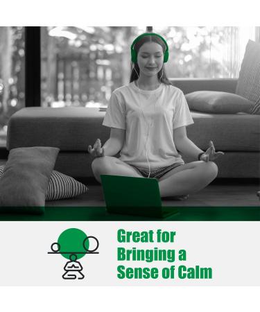  3300 Legendary and Authentic Best from The Netherlands Premium Oil 10 ml 10 ml (Pack of 1) - Buy Online on GoSupps.com