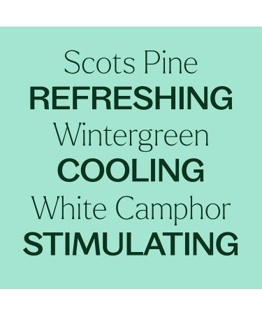 Plant Therapy Muscle Aid Essential Oil Blend Roll-On 10 mL ( oz) Pre-Diluted Cooling Muscle Relief - Buy Online on GoSupps.com