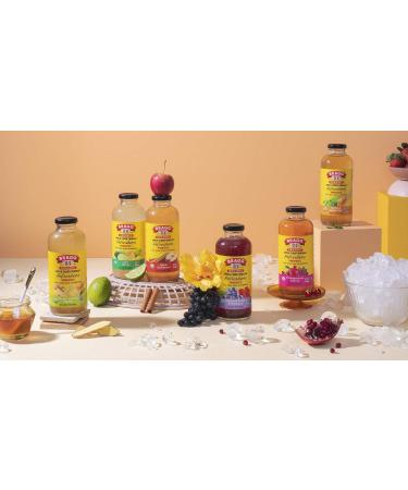 Bragg Organic Apple Cider Vinegar Limeade Drink 16 oz (Pack of 2) - All Natural - Buy Online on GoSupps.com