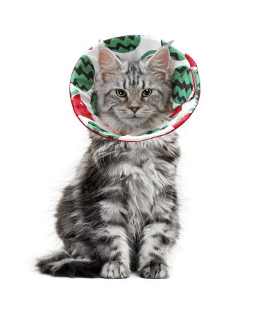 ComSaf Cat Recovery Collar, Lightweight Pet Elizabeth Collar, Soft Adjustable Cat Cone Collar After Surgery for Cat Kitten Prevent from Licking Wounds, Loops-Protective Healing, Not Block Vision Watermelon-M(Neck:7-8in)