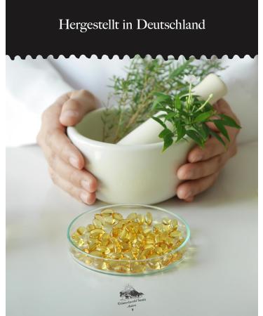 Ginkgo Biloba 7 500 Supra Capsules - German Premium Quality - 360 High-Dose Laboratory Tested - KR UTERHANDEL SANKT ANTON  - Buy Online on GoSupps.com