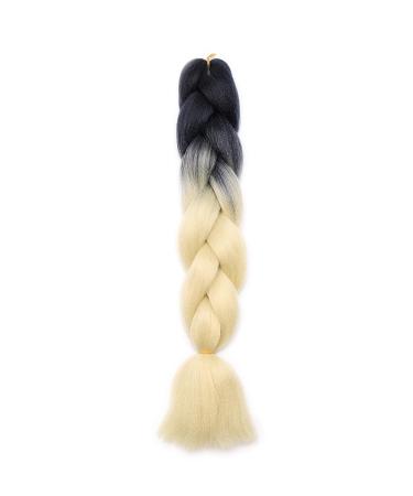 Buy 5 Packs Kanekalon Braids Extensions - Colorful Crochet Hair - 24 Synthetic Hair | Black to Light Blonde | 500g - Buy Online on GoSupps.com