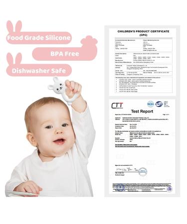 PAPACHOO Teething Toys 2 Pack - Bunny Carrot Silicone Infant Teether Set | BPA Free Baby Soothing Toy for Teething Relief - Buy Online on GoSupps.com