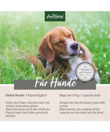 Aniforte Tick Sign for Small Dogs up to 10kg - 60 Capsules for Natural Tick Protection | Effective for Junior Adult & Senior Dogs - Buy Online on GoSupps.com