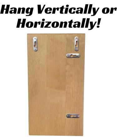Brazilian Jiu Jitsu Belt Display | Pine Belt Box | BJJ Belt Rack for 5 Belts | from White to Black Belt Hanger | Martial Arts Belt Holder Case | Gifts for Jiu Jitsu Practitioners | OSS - Buy Online on GoSupps.com