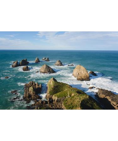 Oceangreen Organics Seaweed Kelp Supplements | Premium New Zealand Blend - 100% Pure Organic & Natural - Multi-Nutrient & Thyroid Support - 60 Vegetarian Capsules - Buy Online on GoSupps.com