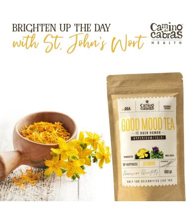 Good Mood Tea - St Johns Wort Infusion for Stress & Anxiety Relief - Natural Herbal Loose Leaf Blend (100g) - Buy Online on GoSupps.com