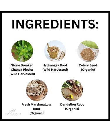 Chanca Piedra Stone Breaker Liquid Formula - Kidney & Gallbladder Cleanse with Hydrangea, Celery Seed, Marshmallow & Dandelion Root - 2fl oz - Buy Online on GoSupps.com