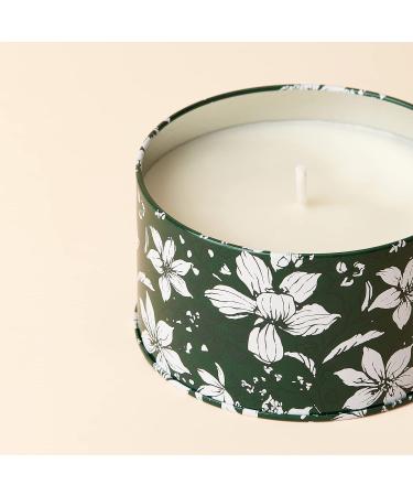 Buy La Jolie Muse Cypress & Cedar Fragrance Candle - 185g Soy Wax Christmas Gift | 35 Hours Burn Time - Buy Online on GoSupps.com