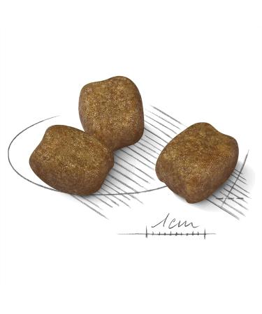 Royal Canin Mini Dental Care Dog food 3kg - Buy Online on GoSupps.com