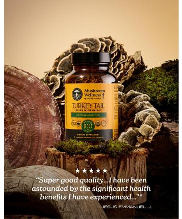 Mushroom Wellness Turkey Tail Blend with Reishi: Organic Turkey Tail & Reishi Mushroom Capsules, Mushroom Powder Supplement, Traditional Immune, Energy & Vitality Support, 90 Vegan Capsules - Buy Online on GoSupps.com