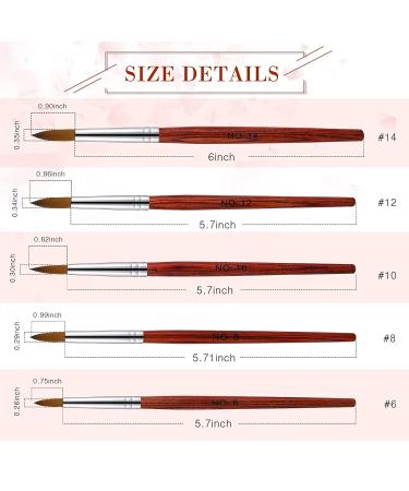 5-Piece Kolinsky Acrylic Nail Brush Set - Wooden Handle, Oval Crimped, Size 6-14 (Red) - Buy Online on GoSupps.com