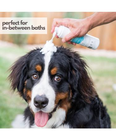 Mighty Mutt Hypoallergenic Waterless Shampoo for Dogs - Dry Foam Anti-Itch Relief | No Rinse Soothing & Deodorizing | Fresh Breeze 8oz - Buy Online on GoSupps.com