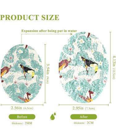 3-Pack Cleaning Kitchen Sponges Oval Green Leaves Kitchen Cellulose Dishwashing Wood Pulp Cotton - Buy Online on GoSupps.com