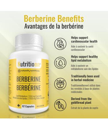 Berberine Supplement - Premium 550 mg Capsules 1100 mg Daily - Lipid Metabolism Heart and Cardiovascular Health for Men and Women - Non-GMO Third-Party Tested Made in Canada - Nutritionn - Buy Online on GoSupps.com