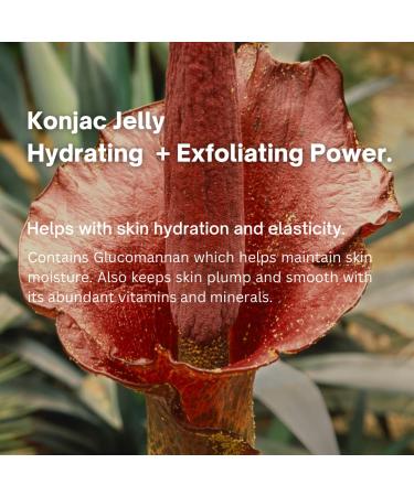ParadiseGal Exfoliating Body Scrub Kit - Coconut Glycolic Acid Jelly Scrub (6.3oz) with Konjac Sponge & Bag | Gentle Face & Body Exfoliator with Caffeine & Vitamin E | Best for Rough Skin KP Cellulite - Buy Online on GoSupps.com