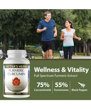 Tattva's Herbs Turmeric Curcumin with Black Pepper Supplement Turmeric Capsules Antioxidant Support 2 Pack 240 Count from 120 Count (Pack of 2) - Buy Online on GoSupps.com