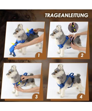 Buy Eyin Adjustable Dog Harness for Large Dogs - Breathable Reflective Padded and Adjustable - Perfect for Daily Training - Light Blue XL - Buy Online on GoSupps.com