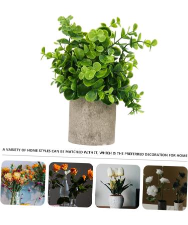 TOPBATHY Home Decor 5 Pcs Simulated Potted Plant Small Pulp Potted Plants Eucalyptus Small Greenery Decor As Shownx5pcs 22x8cmx5pcs - Buy Online on GoSupps.com