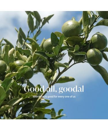 Goodal Green Tangerine Vita C Wash Off Mask - Brightening & Hydrating Facial Mask for Glowing Skin - International Shipping Available - Buy Online on GoSupps.com
