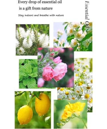 Diffuser Essential Oil 100% Pure Plant Aromatherapy Essential Oil 10ML/Bottle for Candle Making soap Making Diffuser humidifier Diffuser Essence. Oil (Mint) - Buy Online on GoSupps.com