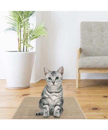 Natural Sisal Cat Scratching Pad for Indoor and Outdoor Use - Protect Your Furniture - 15.7x23.6inch - Khaki - Buy Online on GoSupps.com