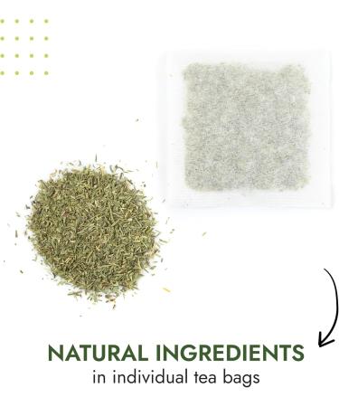  Alpi Nature Alpi Nature Horsetail Herb 80 Tea Bags 80g (4 Boxes of 20 x 1g Tea Bags) Dried Horsetail Herbal Tea - Buy Online on GoSupps.com